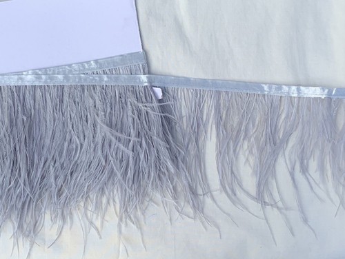 High quality ostrich feather - ostrich,