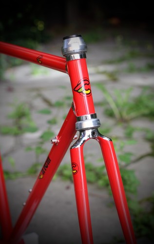 Cinelli supercorsa frame - cinelli,