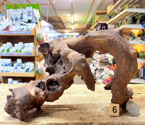 Small mopani wood 32cm - small, 17-32cm