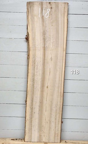 Elm live edge - live, x