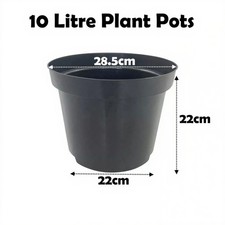 Litre black plant - plant, pots