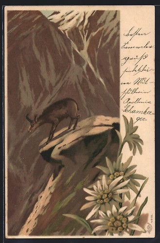 Billy goat rock - on, postcard