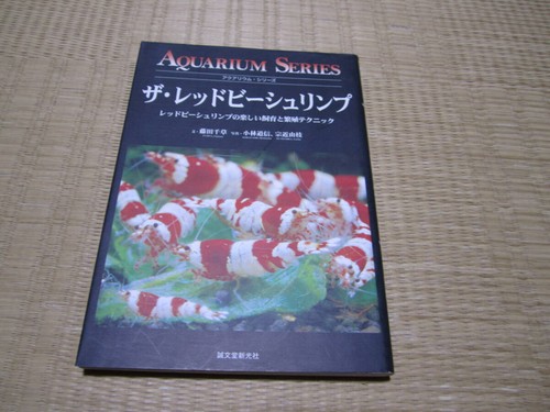 The red bee shrimp aquarium - red,