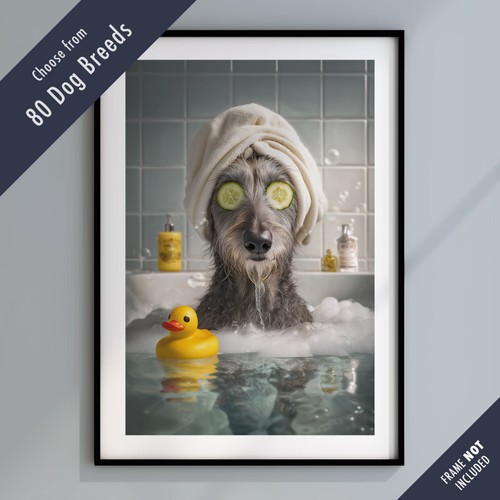 Funny dog bath - funny,