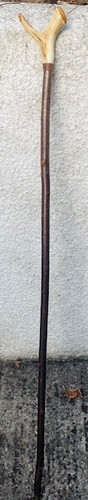 Stag horn thumb walking - stag, stick