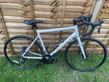 2024 Large 54cm Carrera