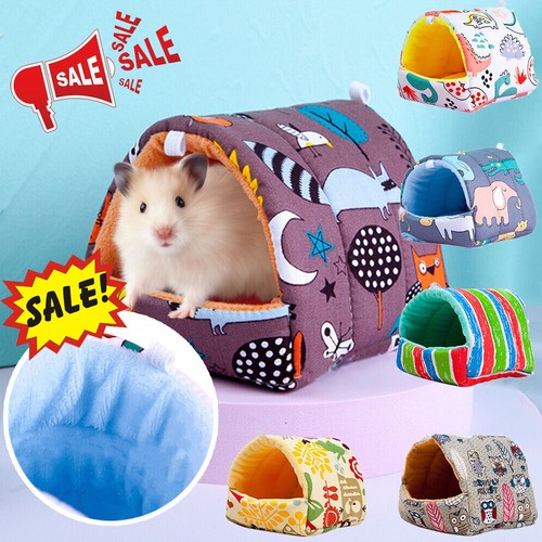 Soft guinea pig - soft,
