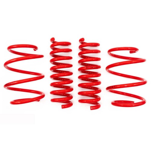 Maxx lowering springs - springs, for