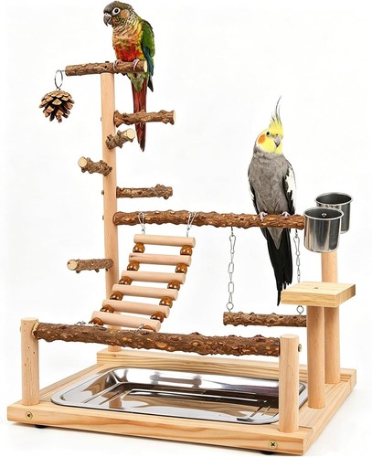Bird playground parrot play - playground,