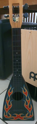 Fluke ukulele m22 - fluke, with