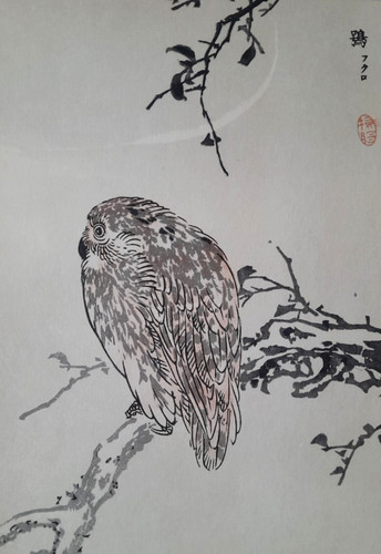 Bairei ural owl japanese print - ural,