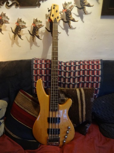 Ibanez sdgr bass string - ibanez,