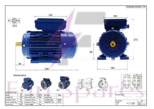 Electric motor 1kw 3000 - electric,