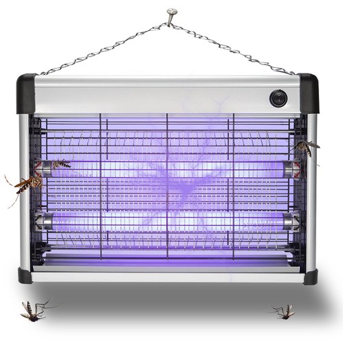 Electric insect mosquito - insect,