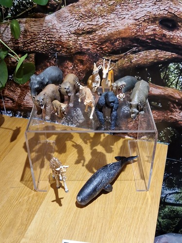 Schleich wild animal - wild,