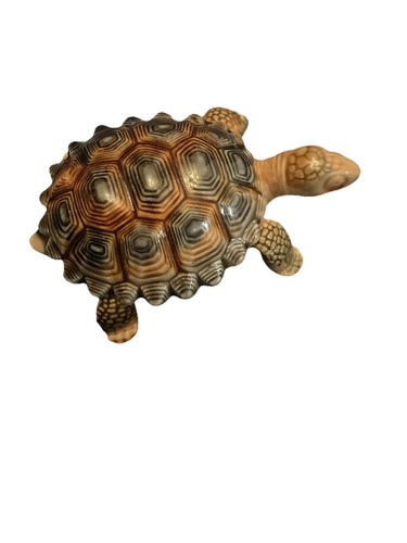 Large wade tortoise - large, trinket