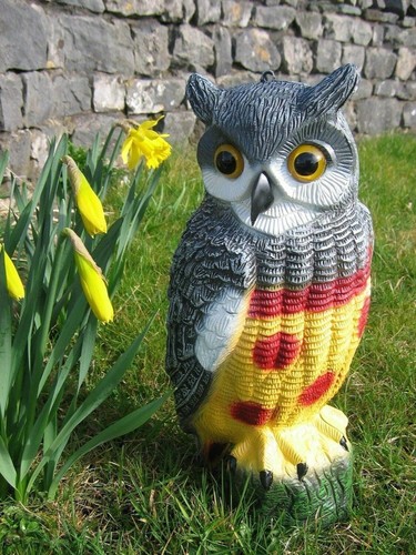 Owl decoy bird deterrent - decoy,
