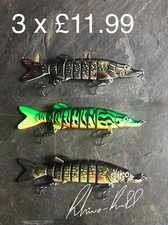 Savage Pike Fishing Lure Slow
