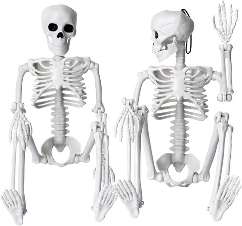 Pack halloween skeleton - 2,