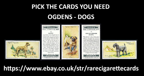 Ogdens dogs pick the cards - ogdens,