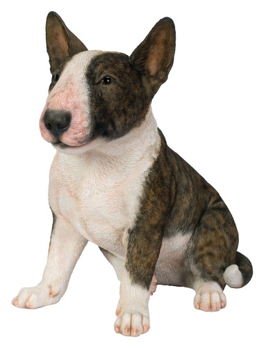 Vivid arts bull terrier - vivid,