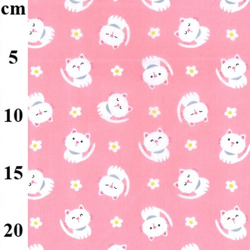Metre cat kitten - metre,