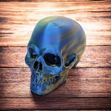 Human Skull Replica –