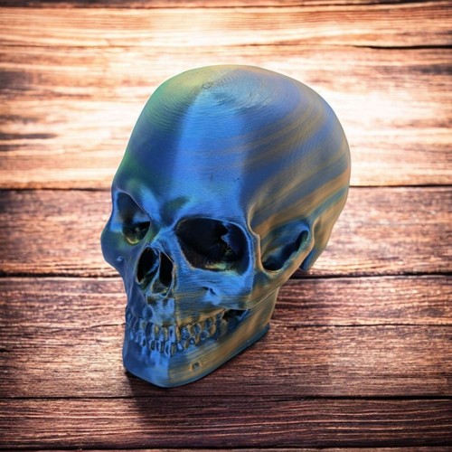Human skull replica - human,