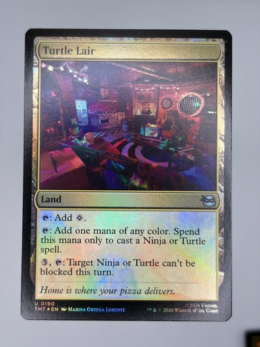 Turtle lair 0190 land teenage - lair,