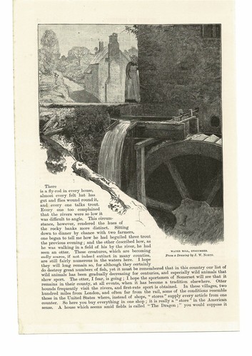 Water mill stogumber - water,
