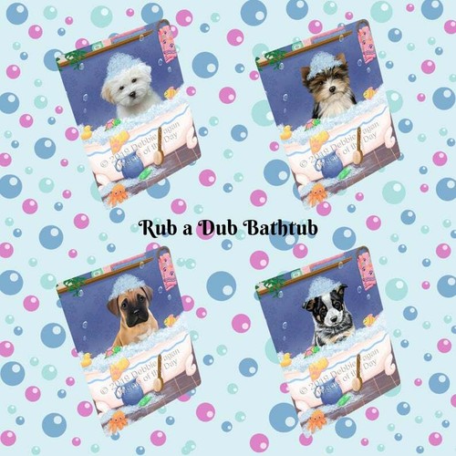 Rub dub dog cat - dog, a