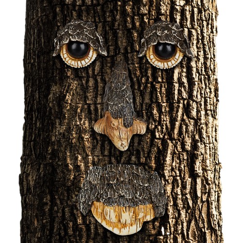 Tree face forest spirit - face,