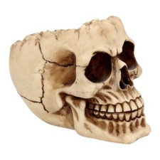 Gothic Skull Ornament Lobo Grinning Smiling Bowl Ashtray Resin Nemesis Now