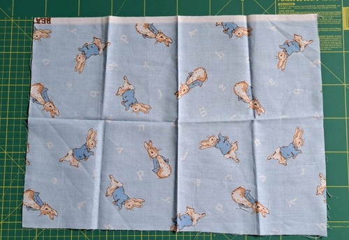 Peter rabbit beatrix potter - peter,