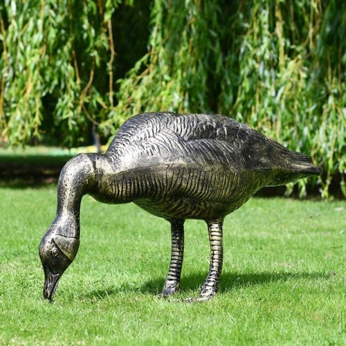 Stunning feeding goose garden - feeding,