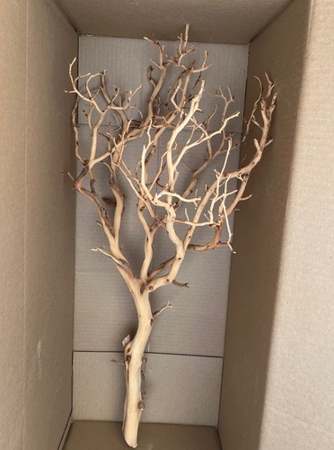Sandblasted manzanita tree - 24",