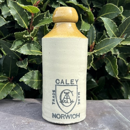 Classic caley norwich salt - caley,