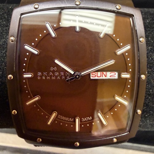 Skagen denmark titanium - denmark,