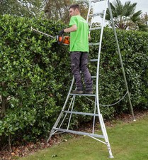 3 Leg Adjustable CROWN Garden Hedge Orchard Tripod Ladder FREE RUBBER FEET!
