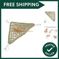 Bearded Dragon Hammock Reptile