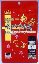 Saki-hikari fancy goldfish