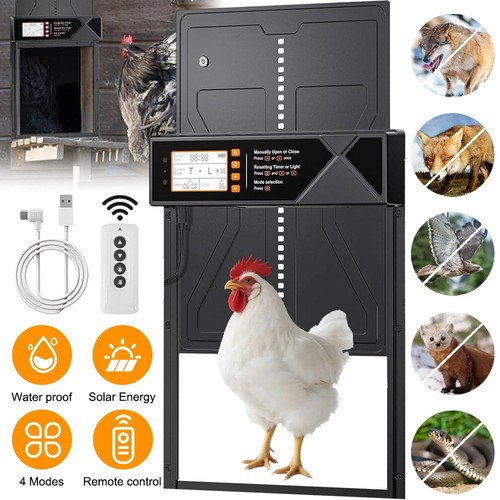 Automatic chicken coop door - chicken,