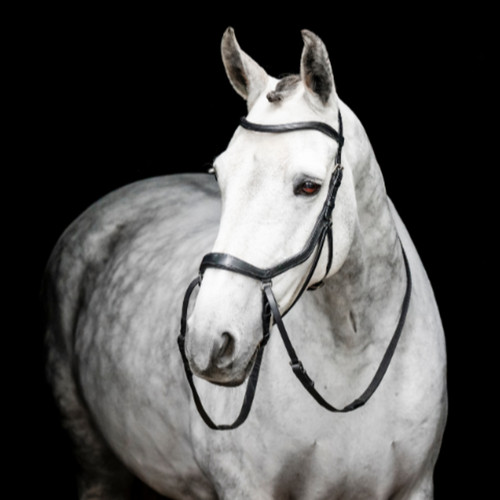 Horseware ireland micklem - horseware,