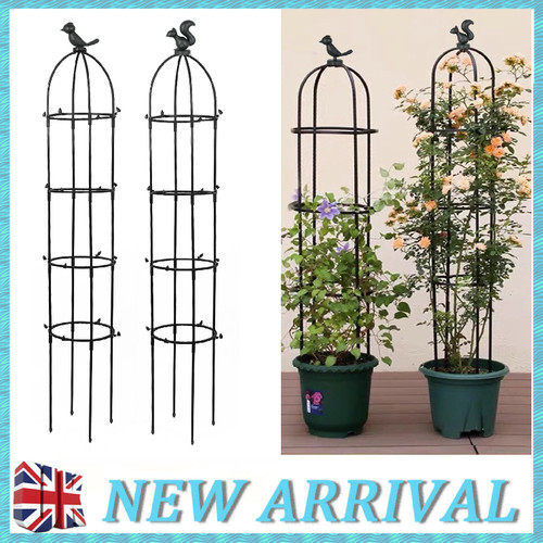 Garden obelisk climbing - garden,