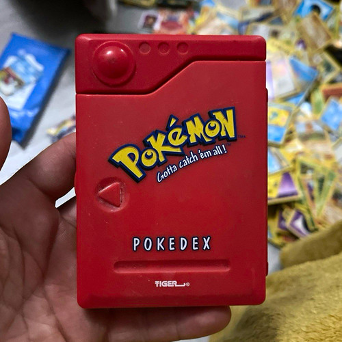 Tiger pokémon pokédex - tiger,