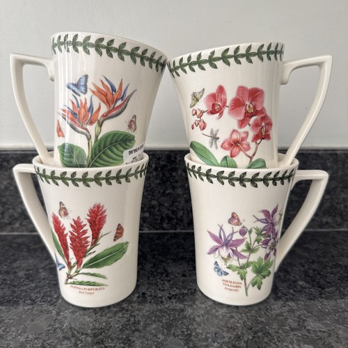 Portmeirion extotic botanic - portmeirion,