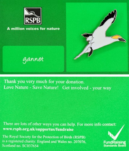 Rspb pin badge amvfn birds - rspb,