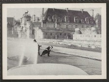 SOMPORTEX-THUNDERBALL