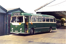 COLOUR BUS PHOTO MAIDSTONE & DISTRICT AEC Re 2MU3RV2037 392 DKK