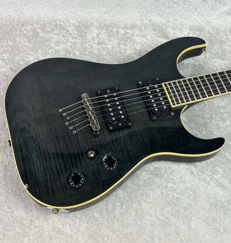 Washburn series pro x50profe - washburn,